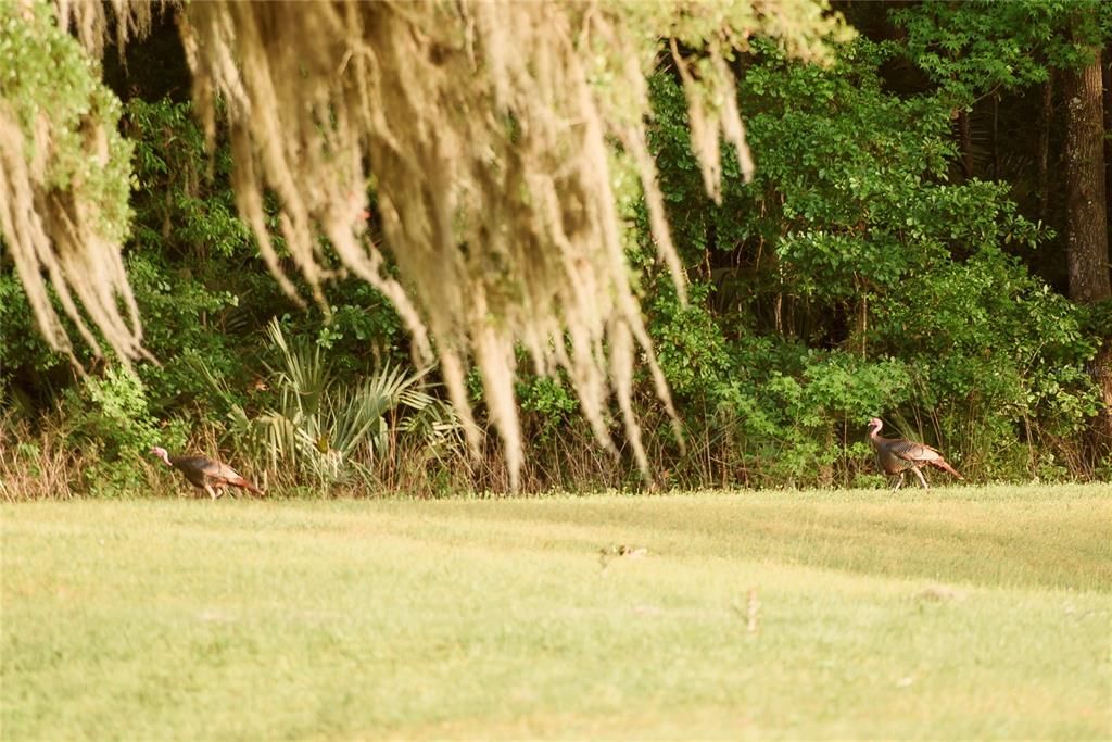 For Sale: $1,700,000 (4 beds, 3 baths, 3449 Square Feet)