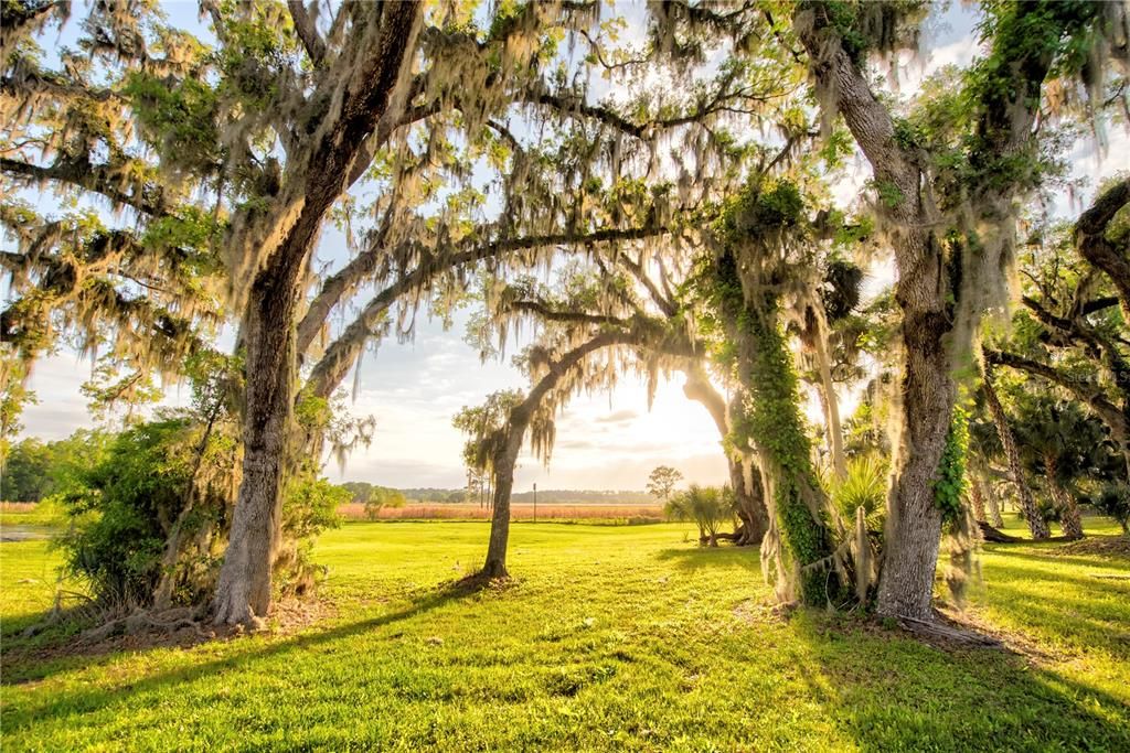 For Sale: $1,700,000 (4 beds, 3 baths, 3449 Square Feet)