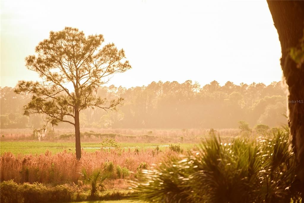 For Sale: $1,700,000 (4 beds, 3 baths, 3449 Square Feet)