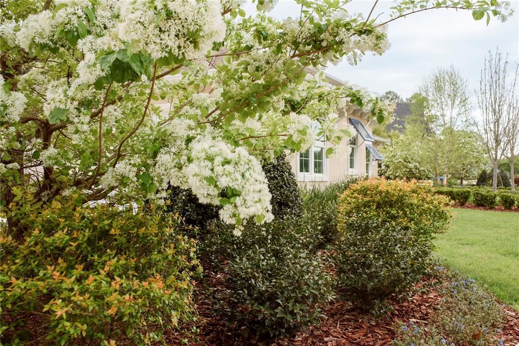 For Sale: $1,700,000 (4 beds, 3 baths, 3449 Square Feet)