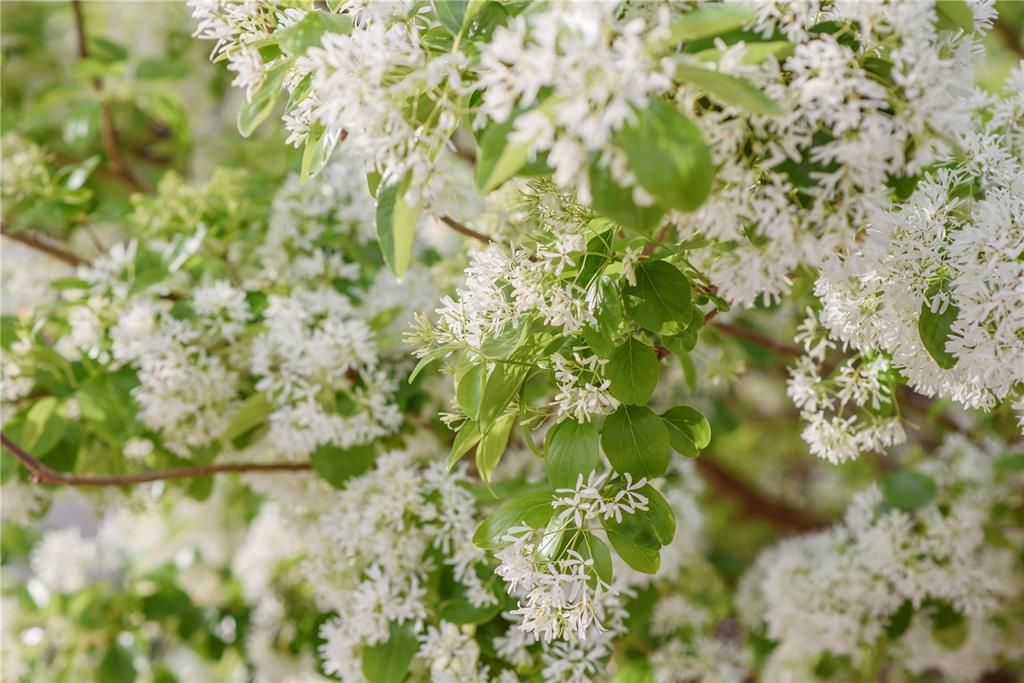 For Sale: $1,700,000 (4 beds, 3 baths, 3449 Square Feet)