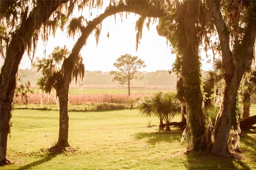 For Sale: $1,700,000 (4 beds, 3 baths, 3449 Square Feet)