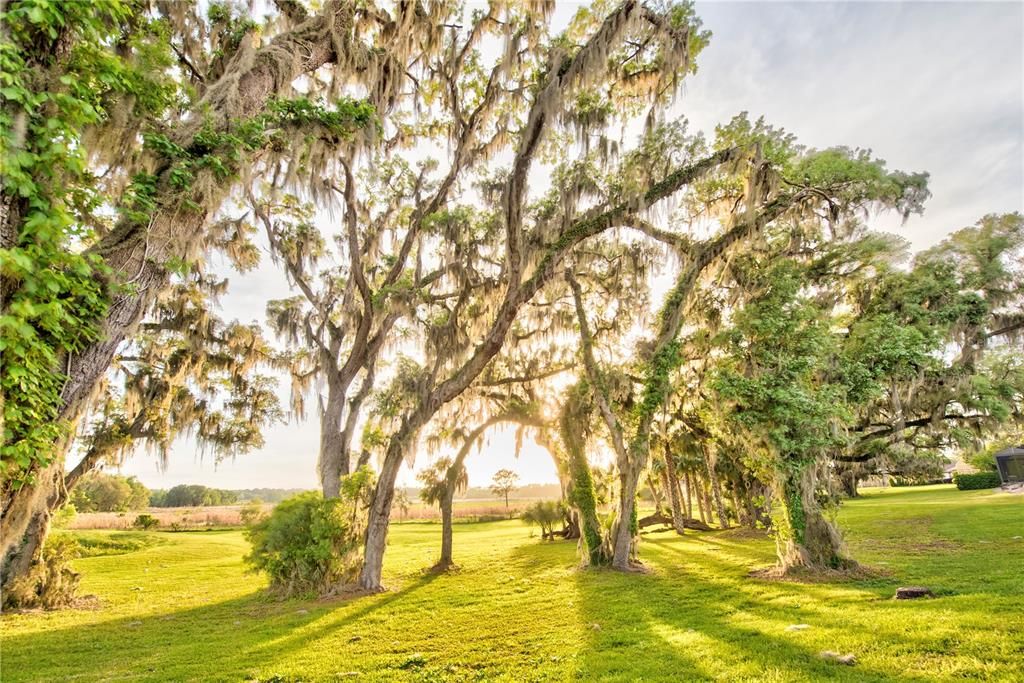 For Sale: $1,700,000 (4 beds, 3 baths, 3449 Square Feet)
