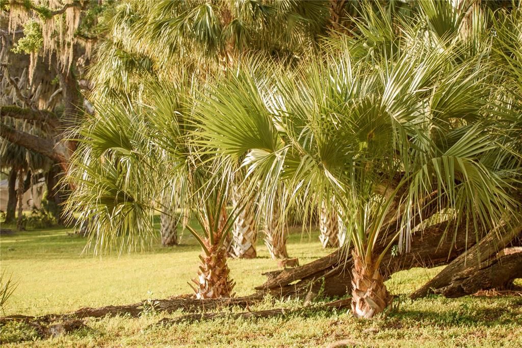 For Sale: $1,700,000 (4 beds, 3 baths, 3449 Square Feet)