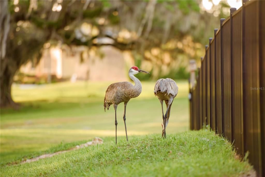 For Sale: $1,700,000 (4 beds, 3 baths, 3449 Square Feet)