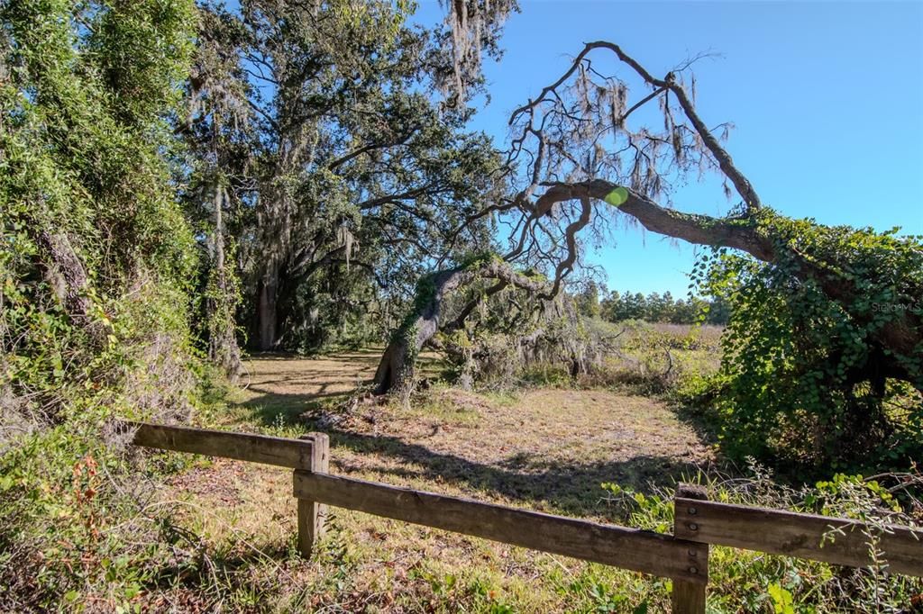 Active With Contract: $329,000 (3 beds, 1 baths, 1744 Square Feet)