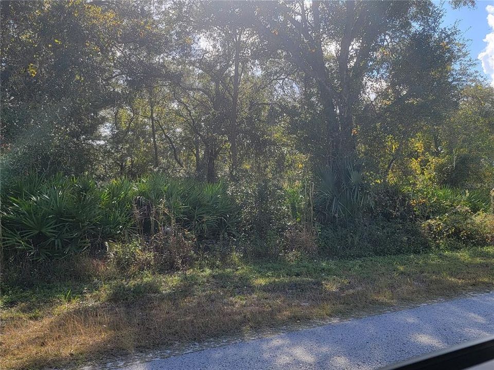 For Sale: $25,000 (0.24 acres)