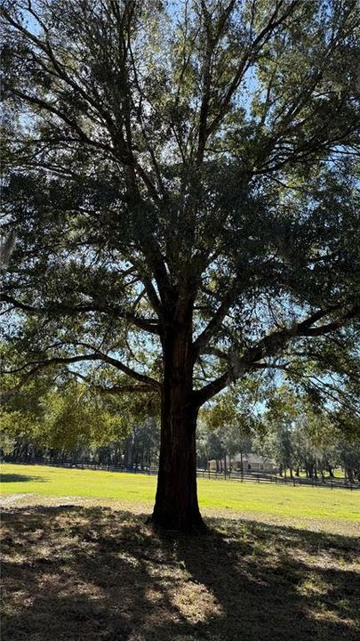 En Venta: $729,000 (3 camas, 3 baños, 2393 Pies cuadrados)