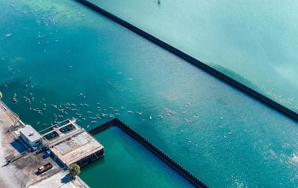 For Sale: $310,900 (3 beds, 2 baths, 1371 Square Feet)