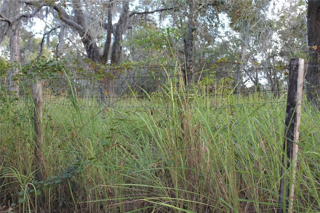 For Sale: $79,900 (1.00 acres)