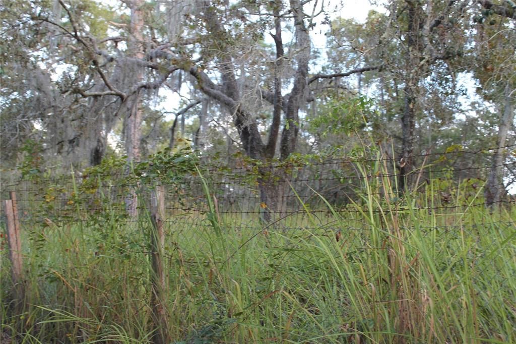 For Sale: $79,900 (1.00 acres)