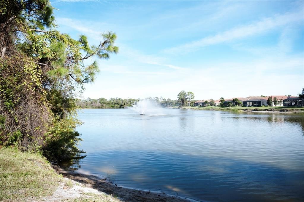 出租: $3,000 (3 贝兹, 2 浴室, 1984 平方英尺)