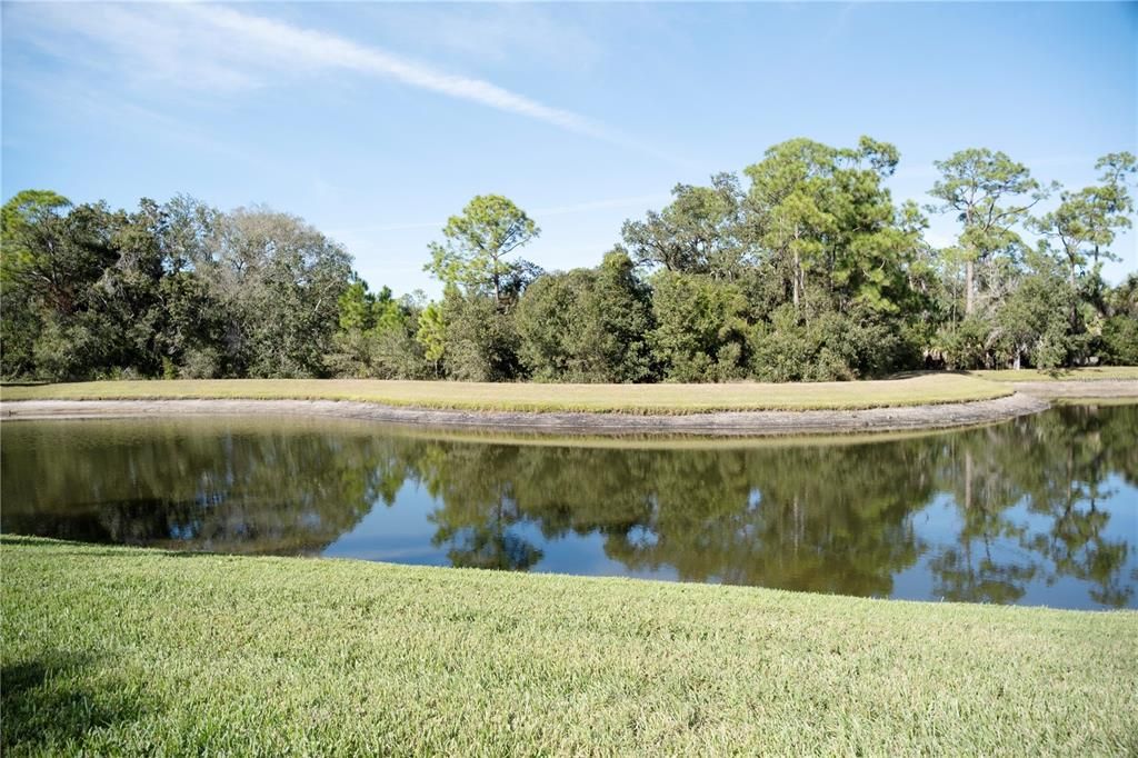 出租: $3,000 (3 贝兹, 2 浴室, 1984 平方英尺)