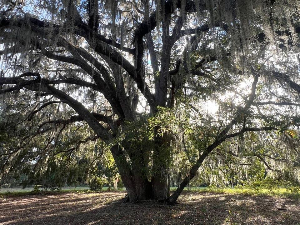 待售: $549,000 (15.20 acres)