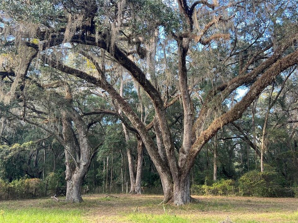 待售: $549,000 (15.20 acres)