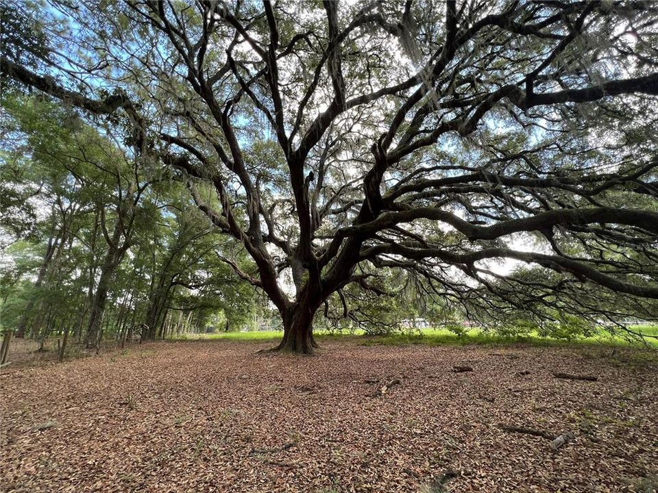 待售: $549,000 (15.20 acres)