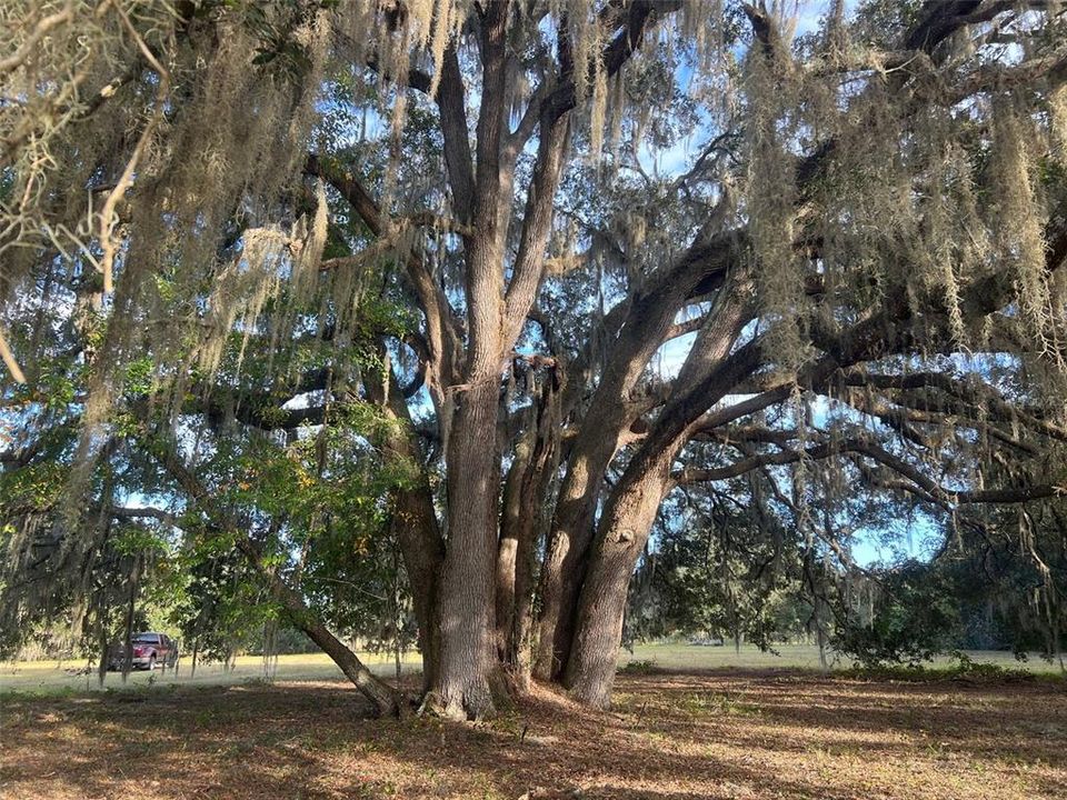 待售: $549,000 (15.20 acres)