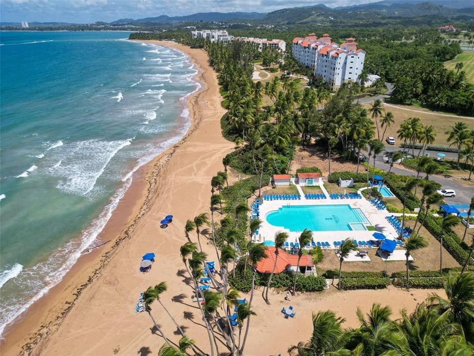 待售: $785,000 (3 贝兹, 3 浴室, 2226 平方英尺)