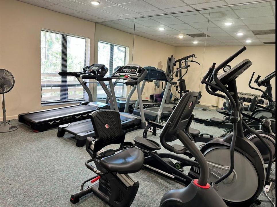 出租: $2,300 (2 贝兹, 2 浴室, 1280 平方英尺)