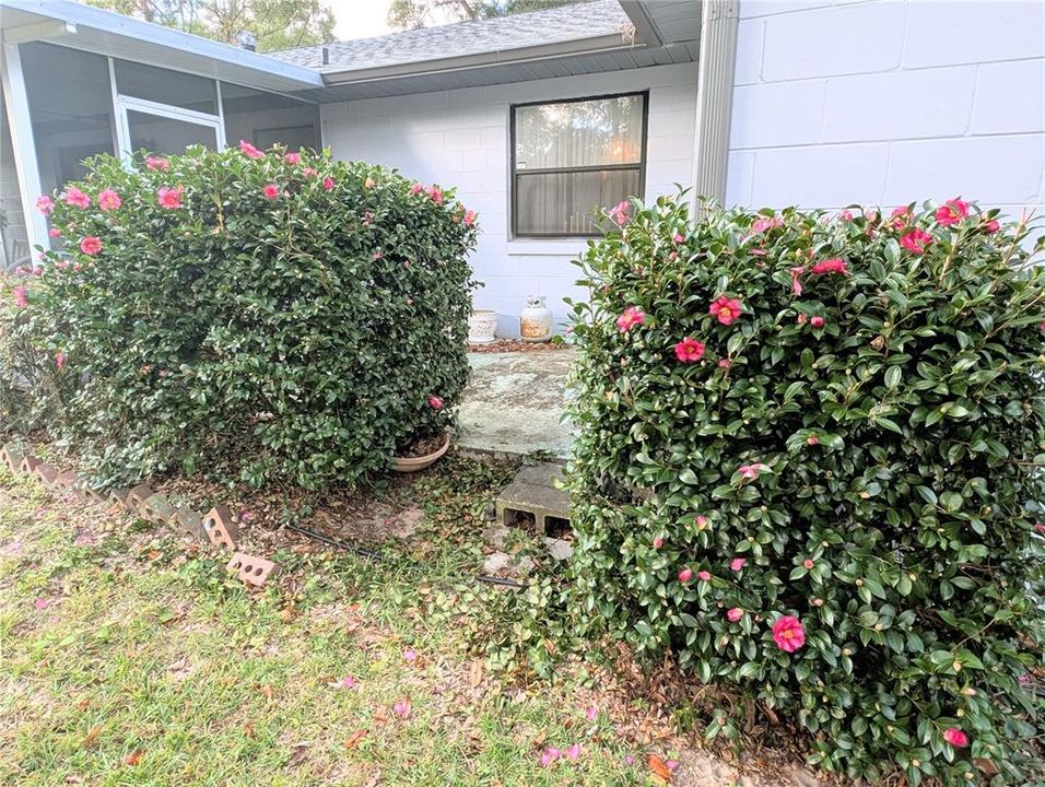 Active With Contract: $239,900 (2 beds, 2 baths, 1589 Square Feet)