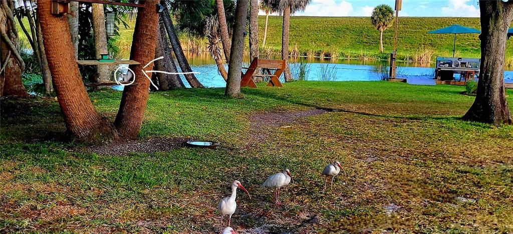 На продажу: $274,500 (2 спален, 2 ванн, 1080 Квадратных фут)