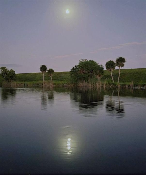 На продажу: $274,500 (2 спален, 2 ванн, 1080 Квадратных фут)