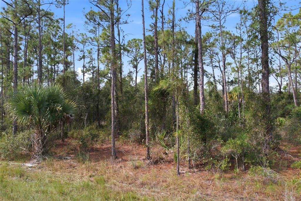 待售: $35,000 (0.46 acres)