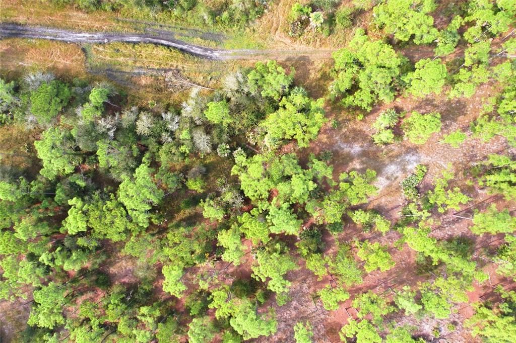 待售: $35,000 (0.46 acres)