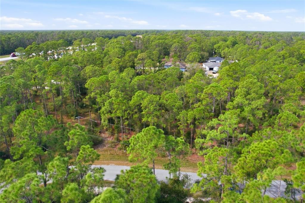 待售: $35,000 (0.46 acres)