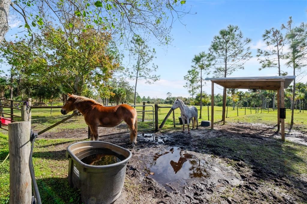 Active With Contract: $795,000 (4 beds, 2 baths, 2700 Square Feet)