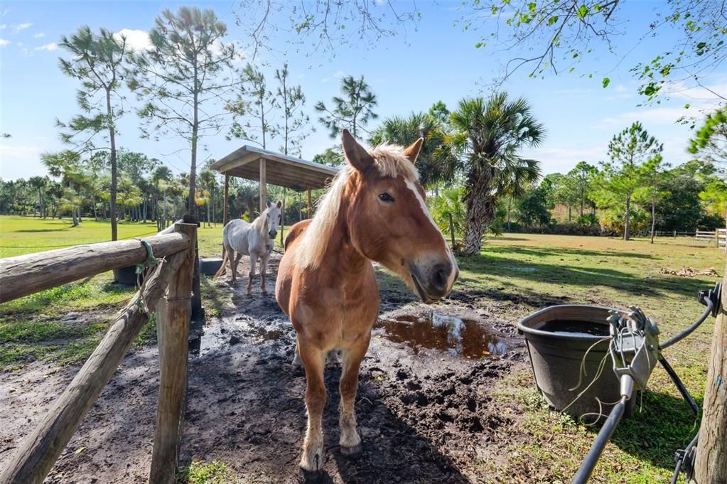 Active With Contract: $795,000 (4 beds, 2 baths, 2700 Square Feet)