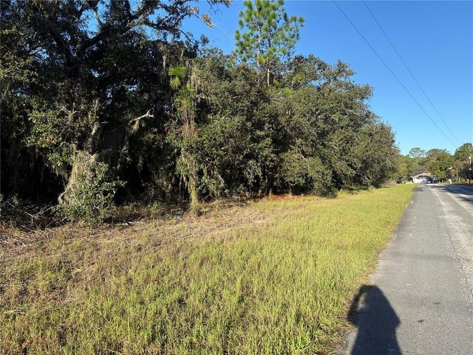 На продажу: $175,000 (3.25 acres)