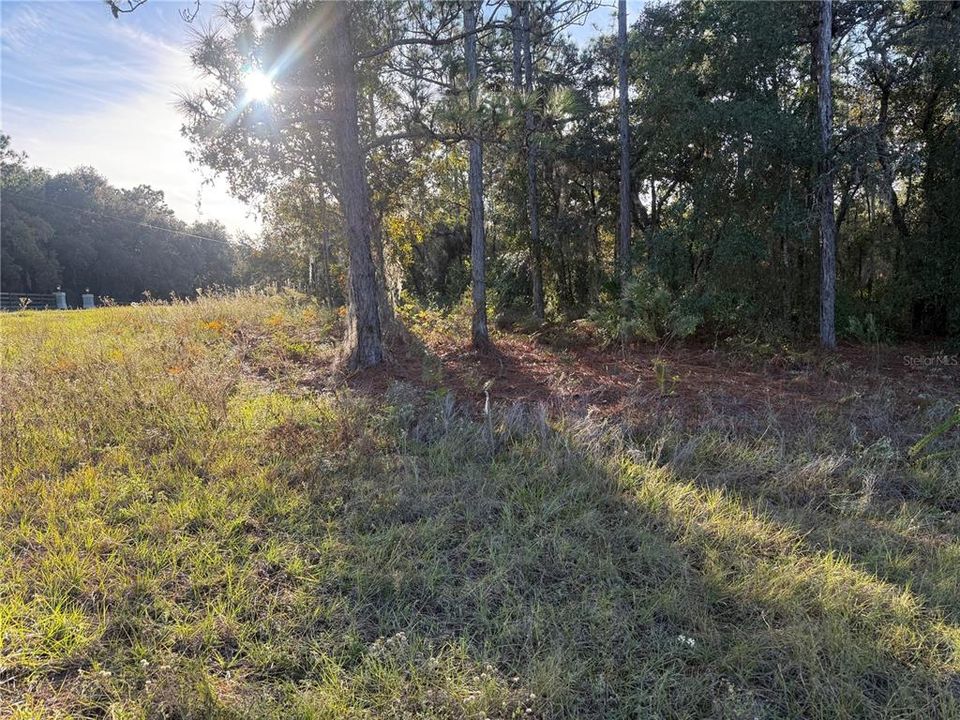 На продажу: $175,000 (3.25 acres)