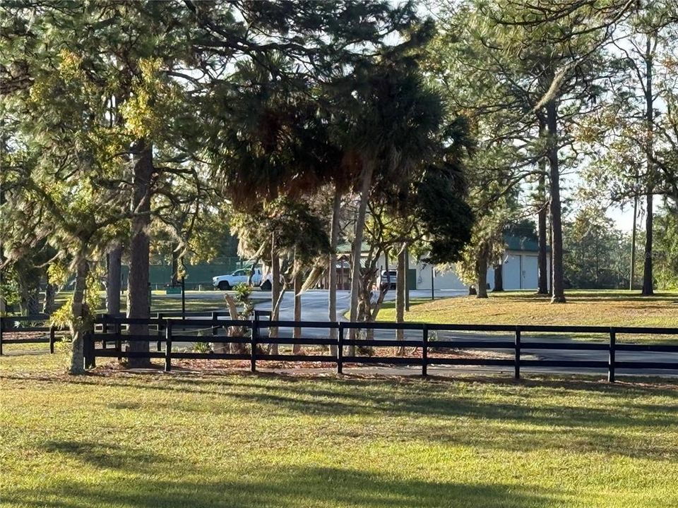 На продажу: $175,000 (3.25 acres)