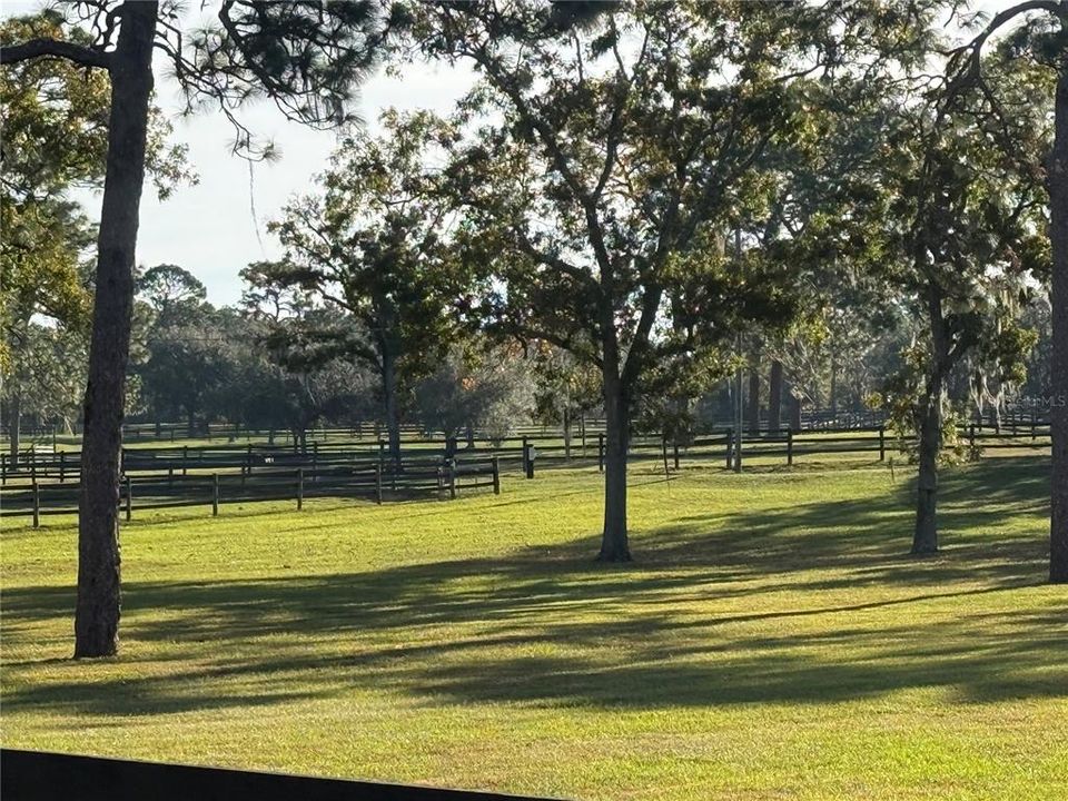 На продажу: $175,000 (3.25 acres)