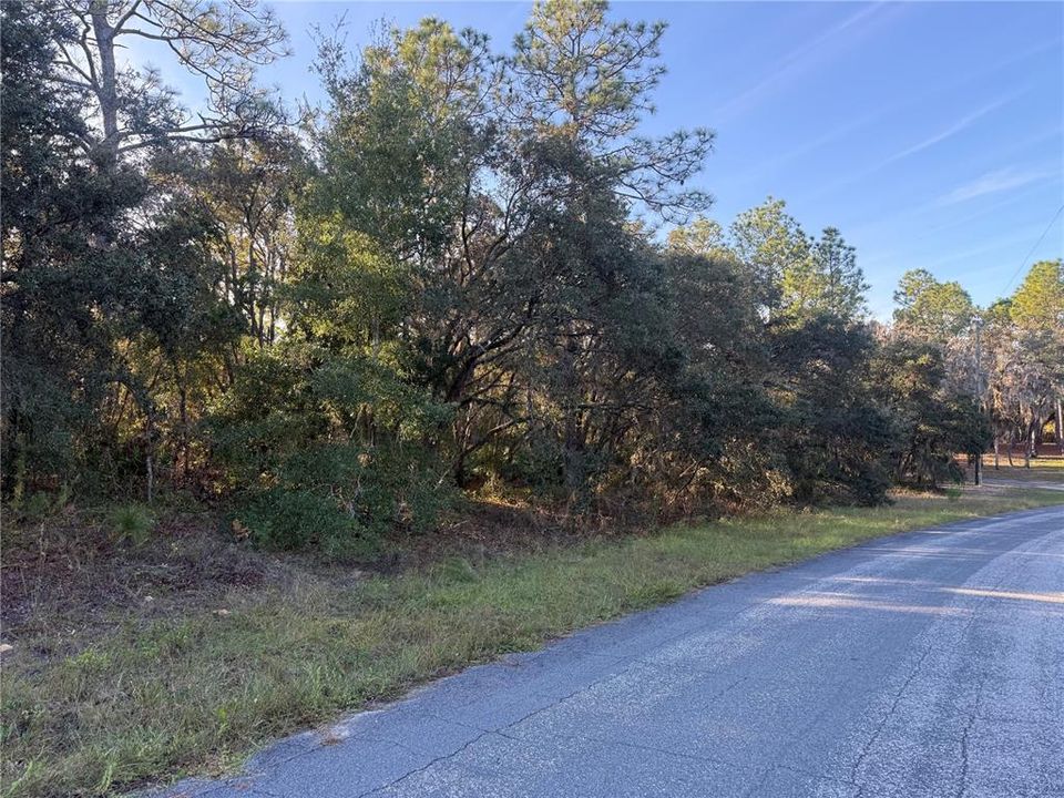 На продажу: $175,000 (3.25 acres)