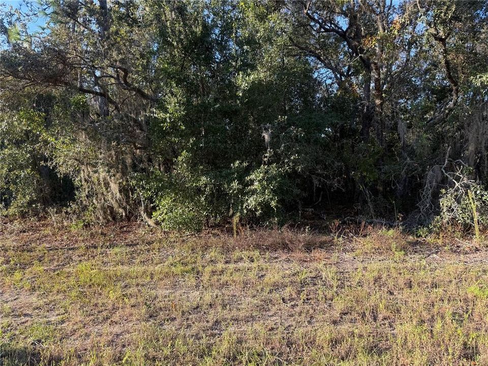 На продажу: $175,000 (3.25 acres)