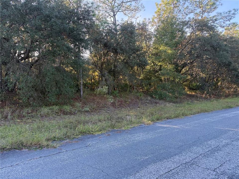 На продажу: $175,000 (3.25 acres)