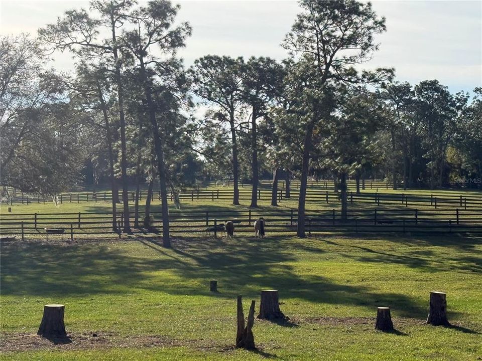 На продажу: $175,000 (3.25 acres)