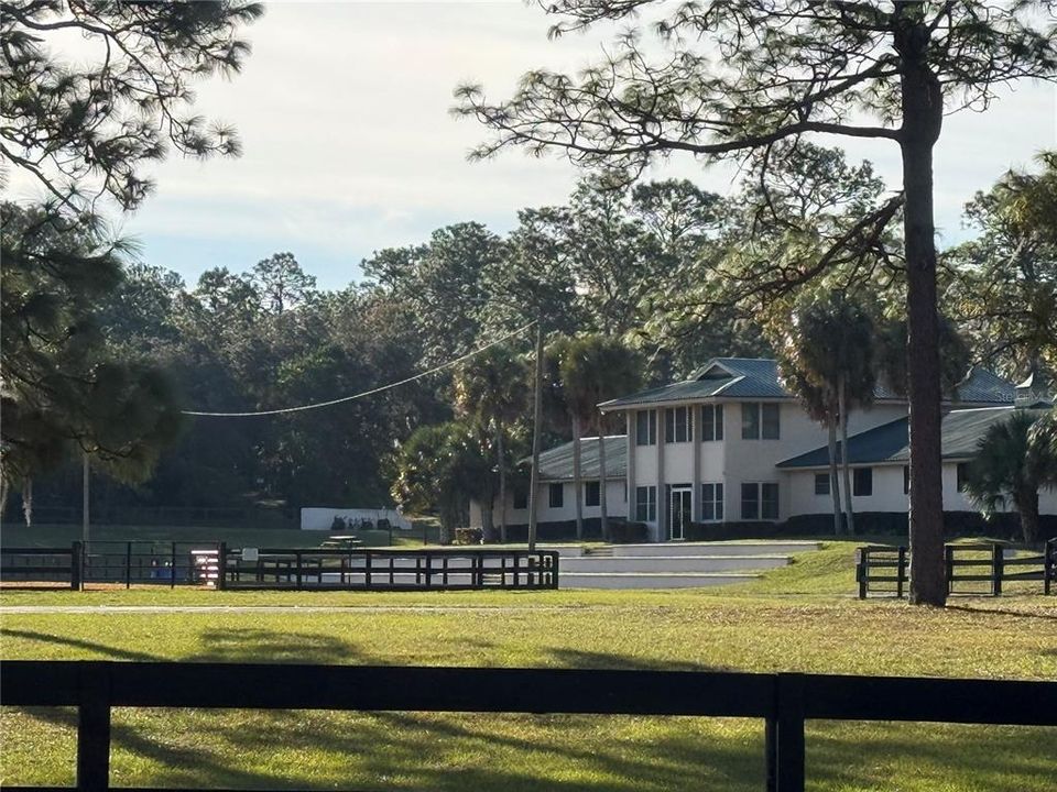 На продажу: $175,000 (3.25 acres)