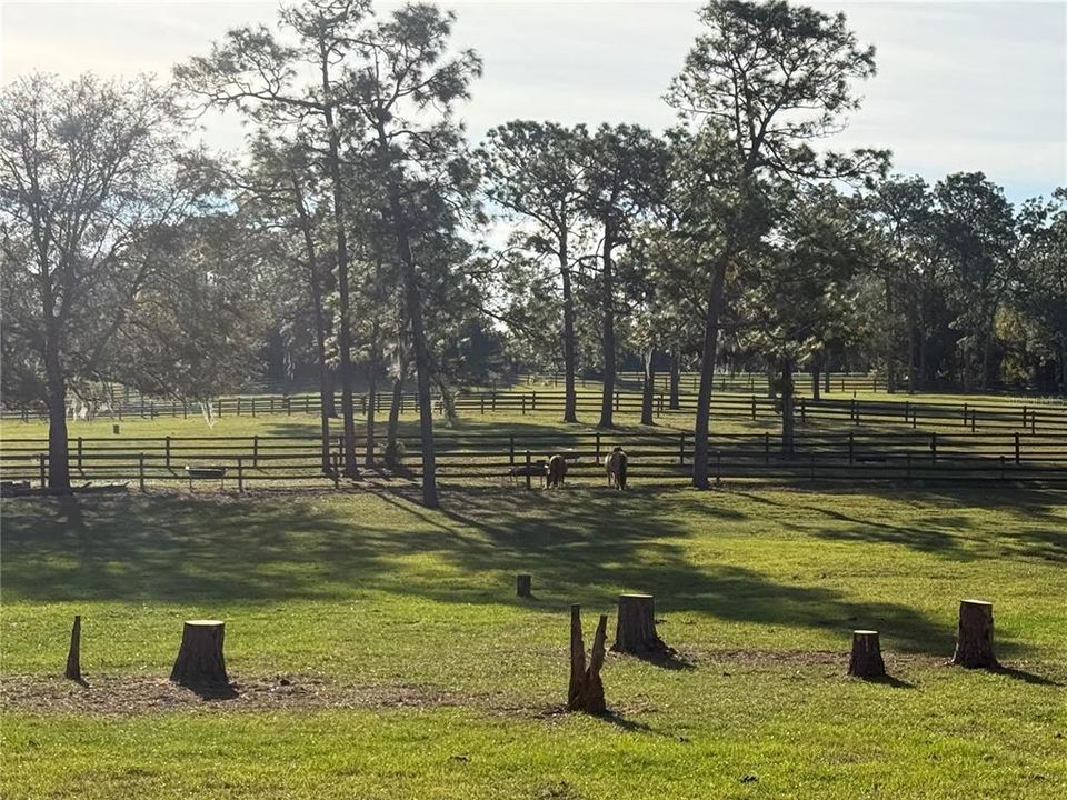 На продажу: $175,000 (3.25 acres)