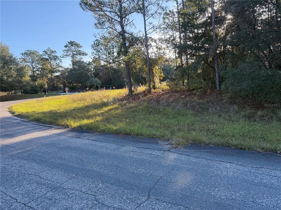 На продажу: $175,000 (3.25 acres)