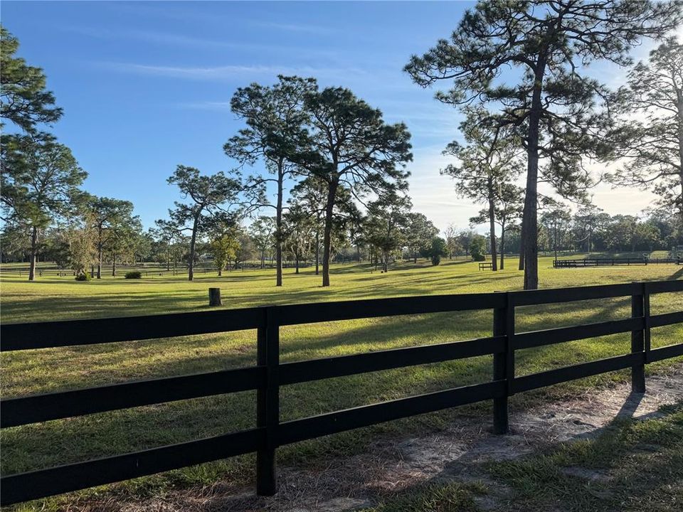 На продажу: $175,000 (3.25 acres)