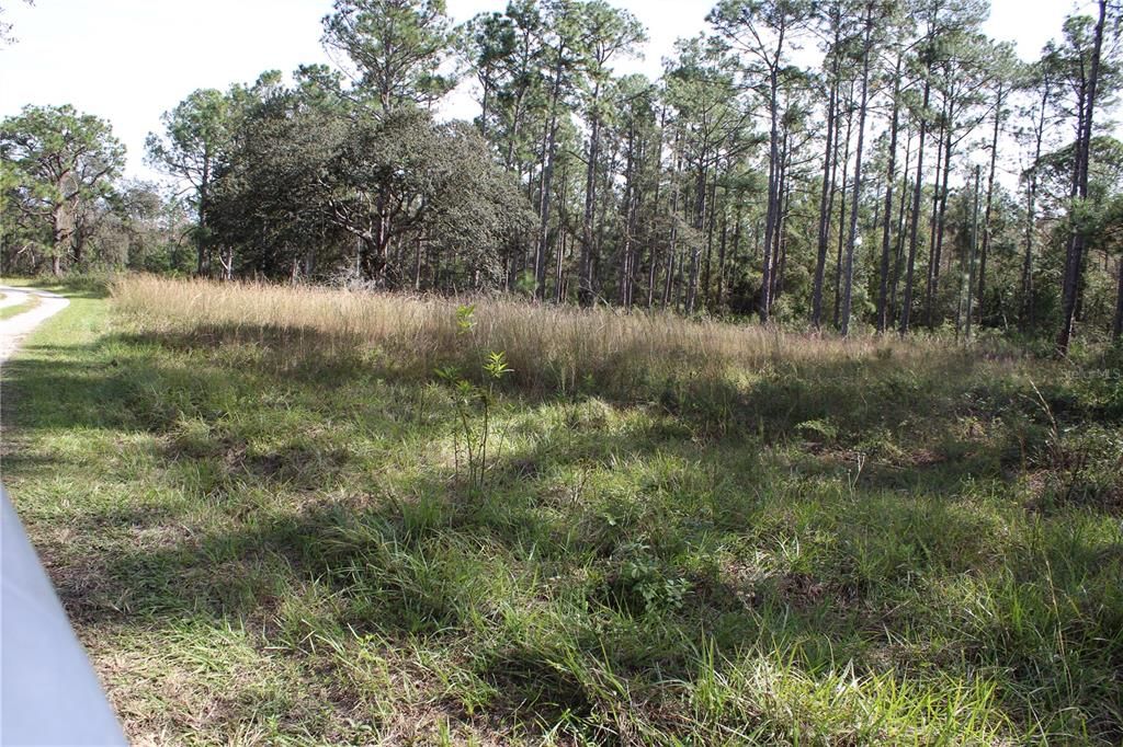 For Sale: $550,000 (20.00 acres)