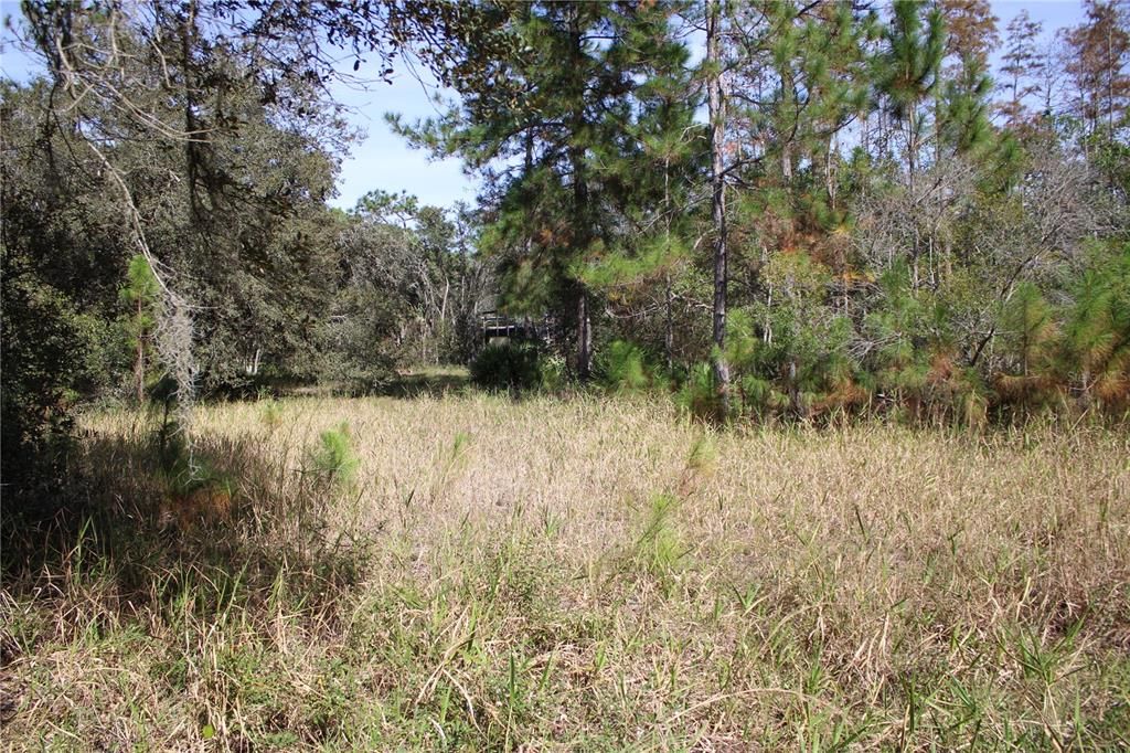 For Sale: $550,000 (20.00 acres)