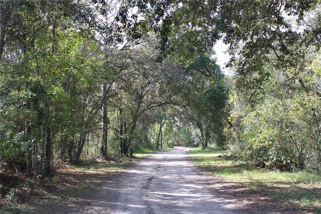 For Sale: $550,000 (20.00 acres)