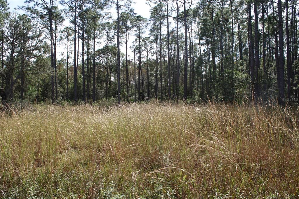 For Sale: $550,000 (20.00 acres)