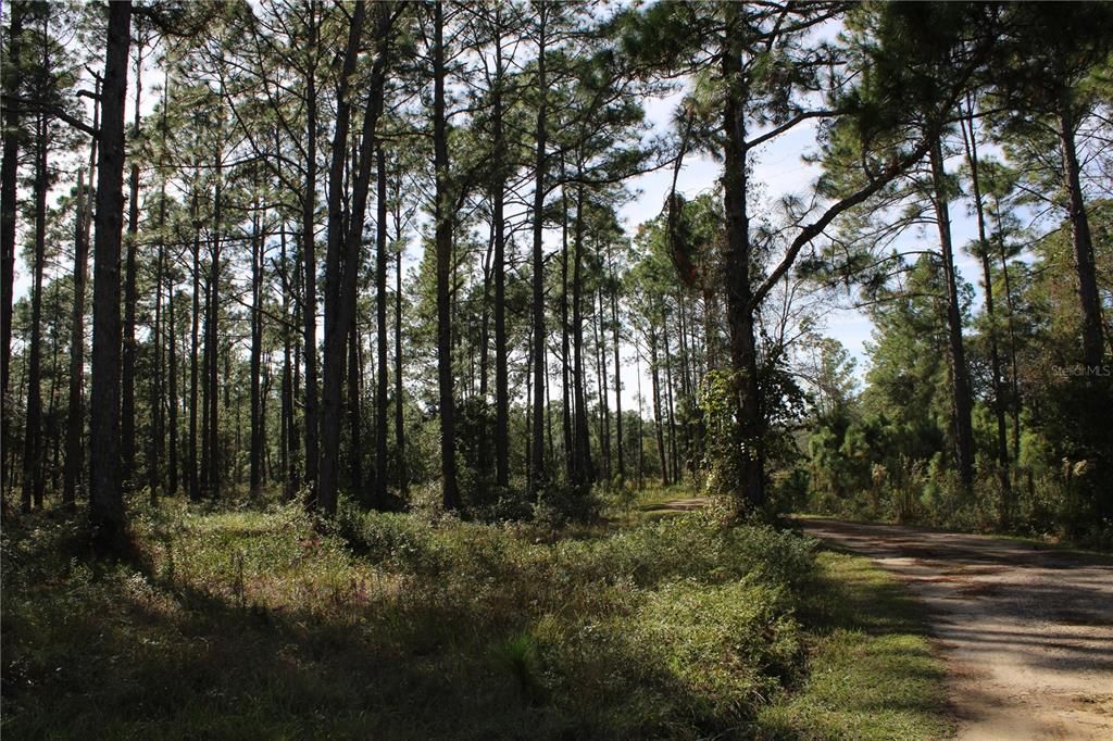 For Sale: $550,000 (20.00 acres)