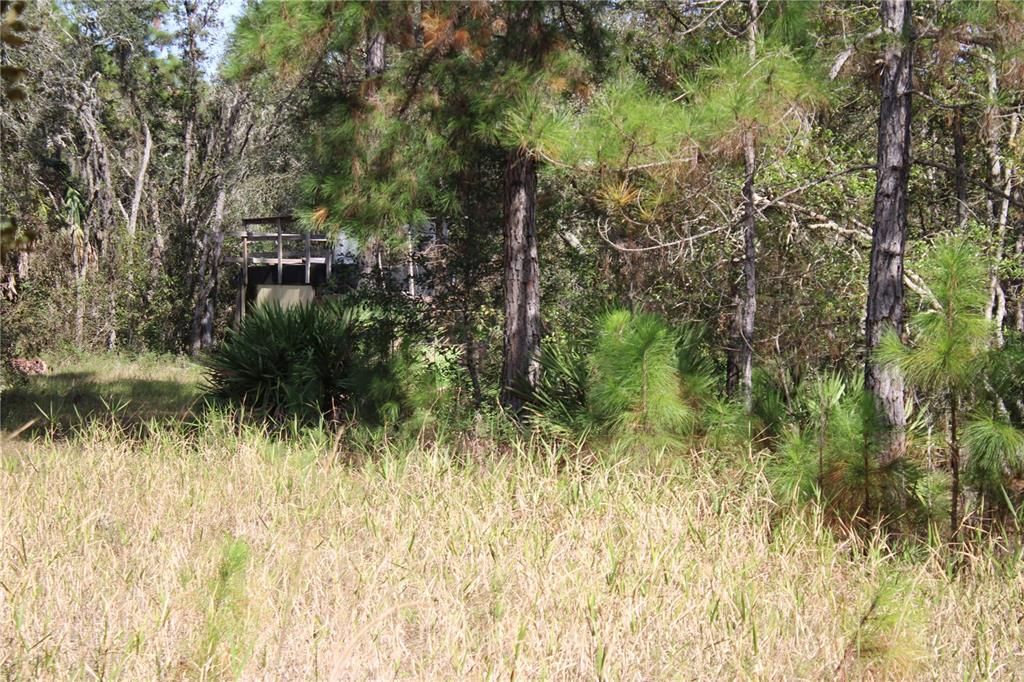 For Sale: $550,000 (20.00 acres)