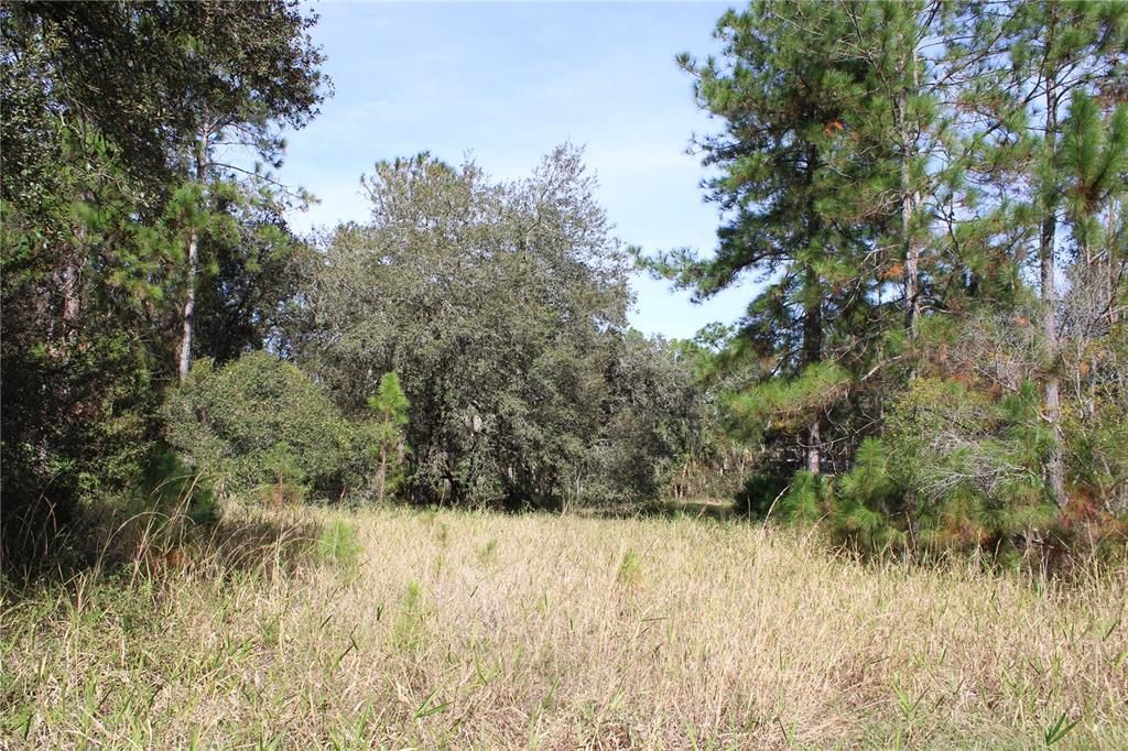 For Sale: $550,000 (20.00 acres)